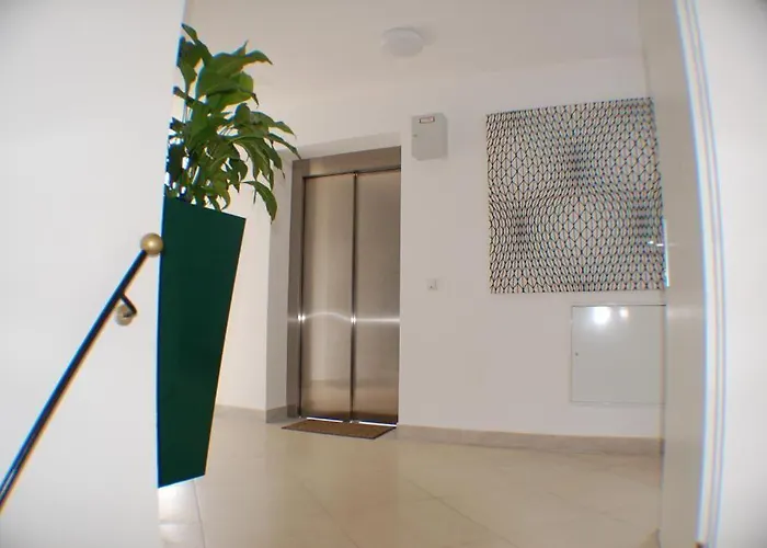 ألغا ام ويستباهنهوف فيينا